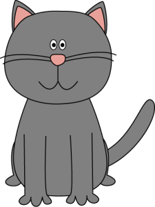 gray-cat